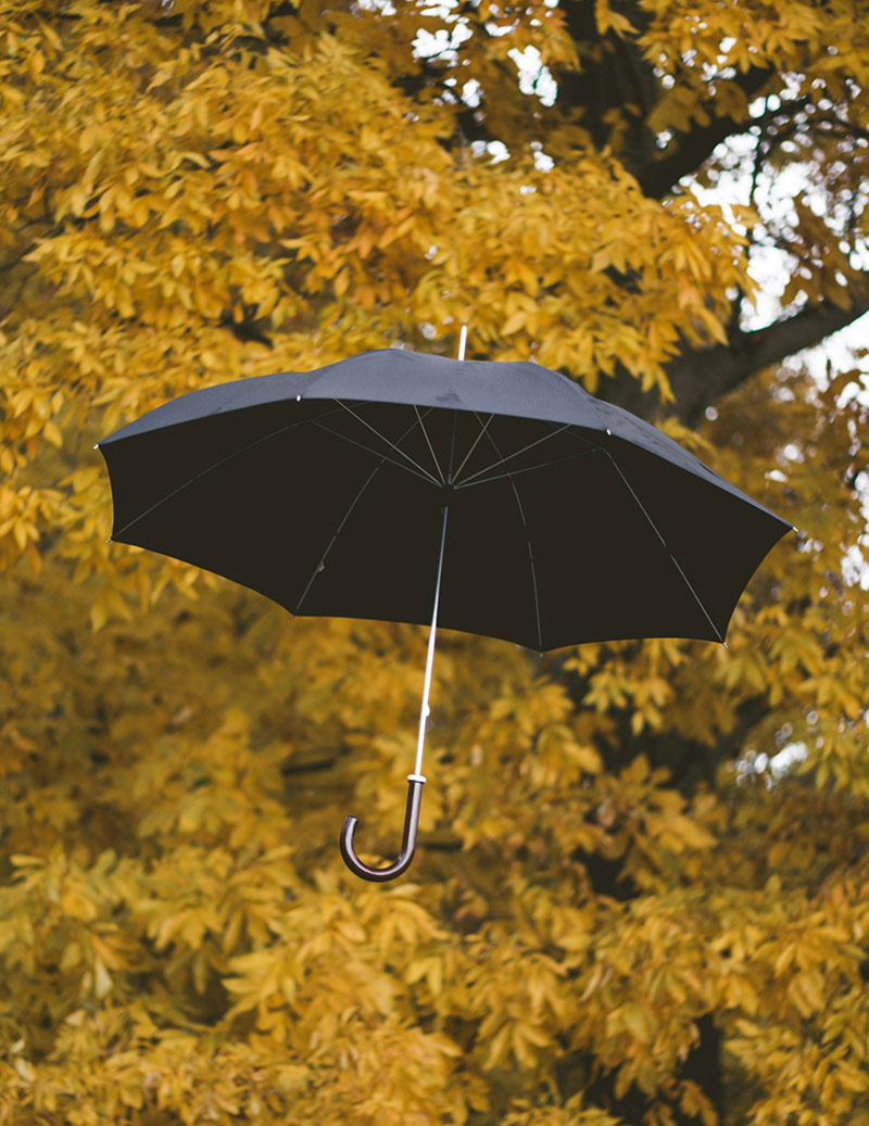 Vertriebsstrategie und Struktur im B2B: Klar definierte Zielkunden und planbarer Umsatz